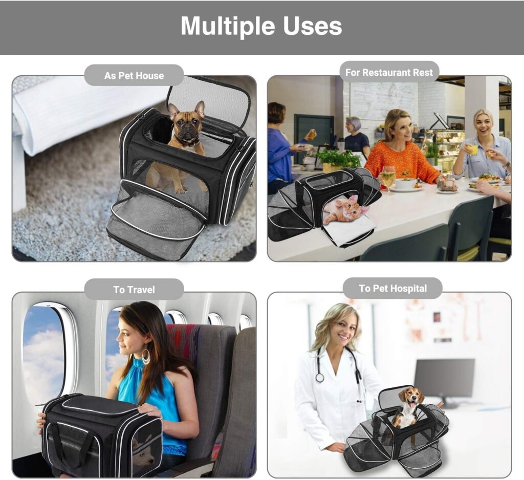 Maskeyon tsa large pet travel carrier review