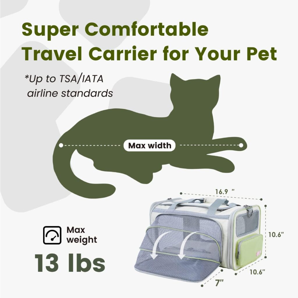 Pawaii cat carrier with id tag review