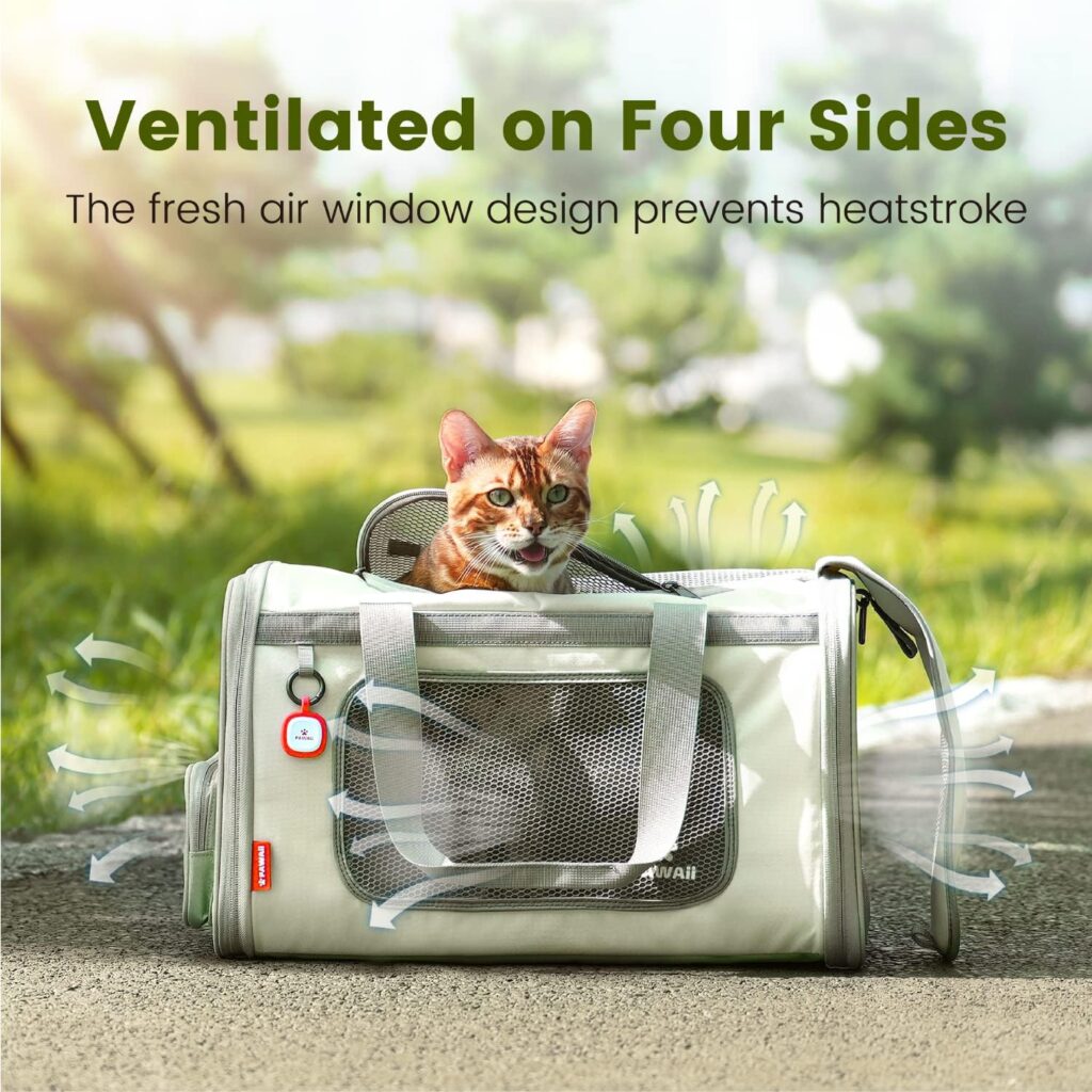 Pawaii cat carrier with id tag review