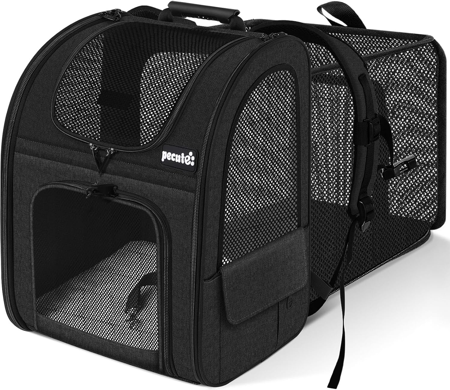 Pecute Pet Carrier Backpack review