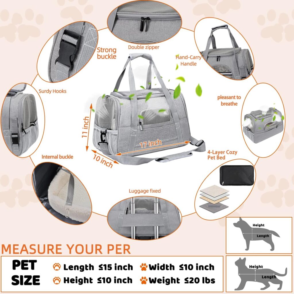 Pet carrier bag airline approved review