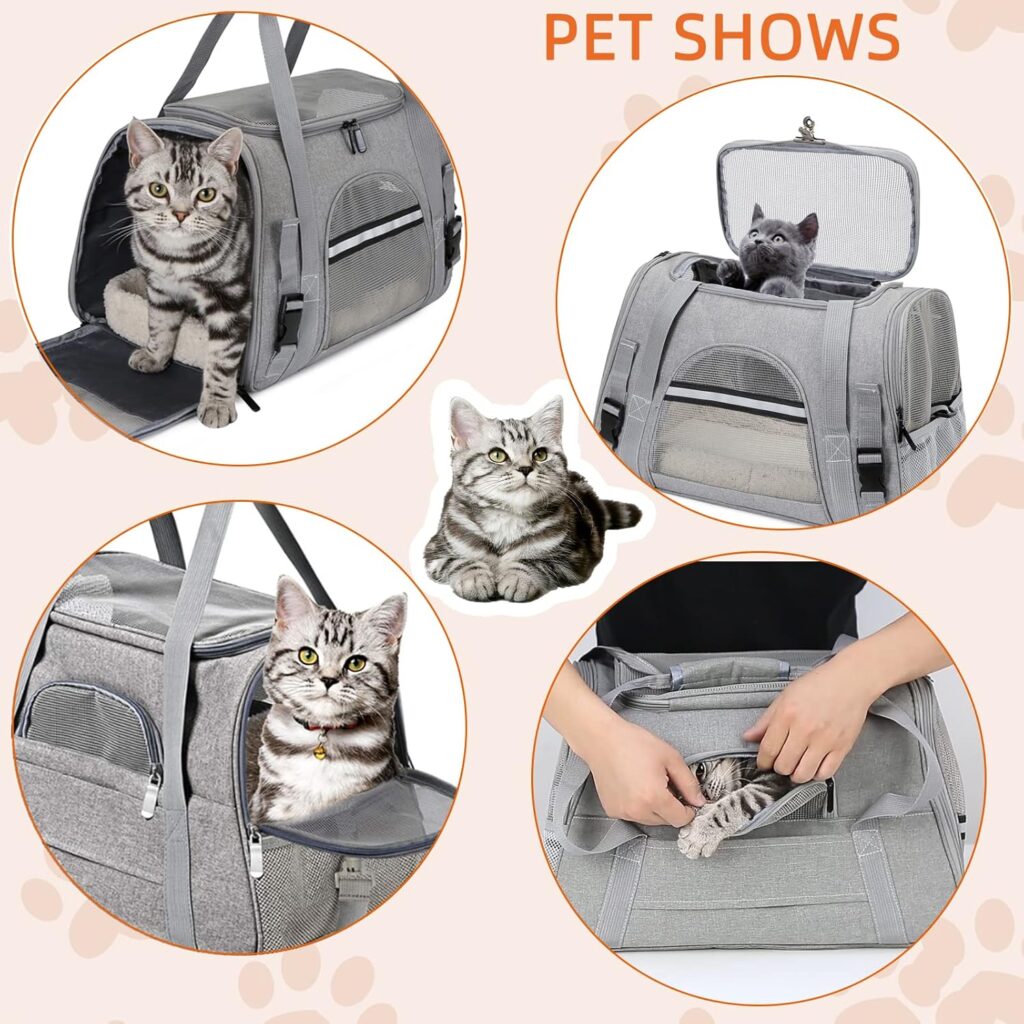 Pet carrier bag airline approved review