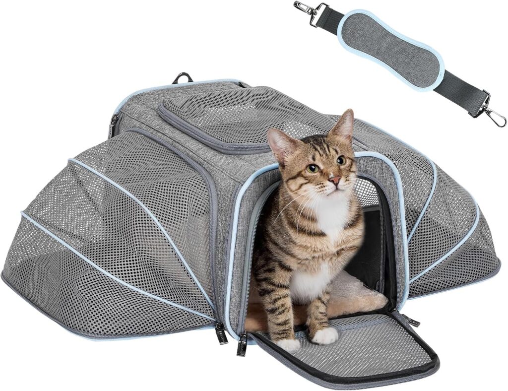 Petsfit expandable small cat carrier review