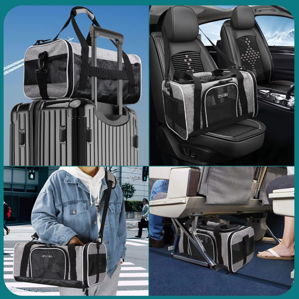 Petskd pet travel carrier bag review