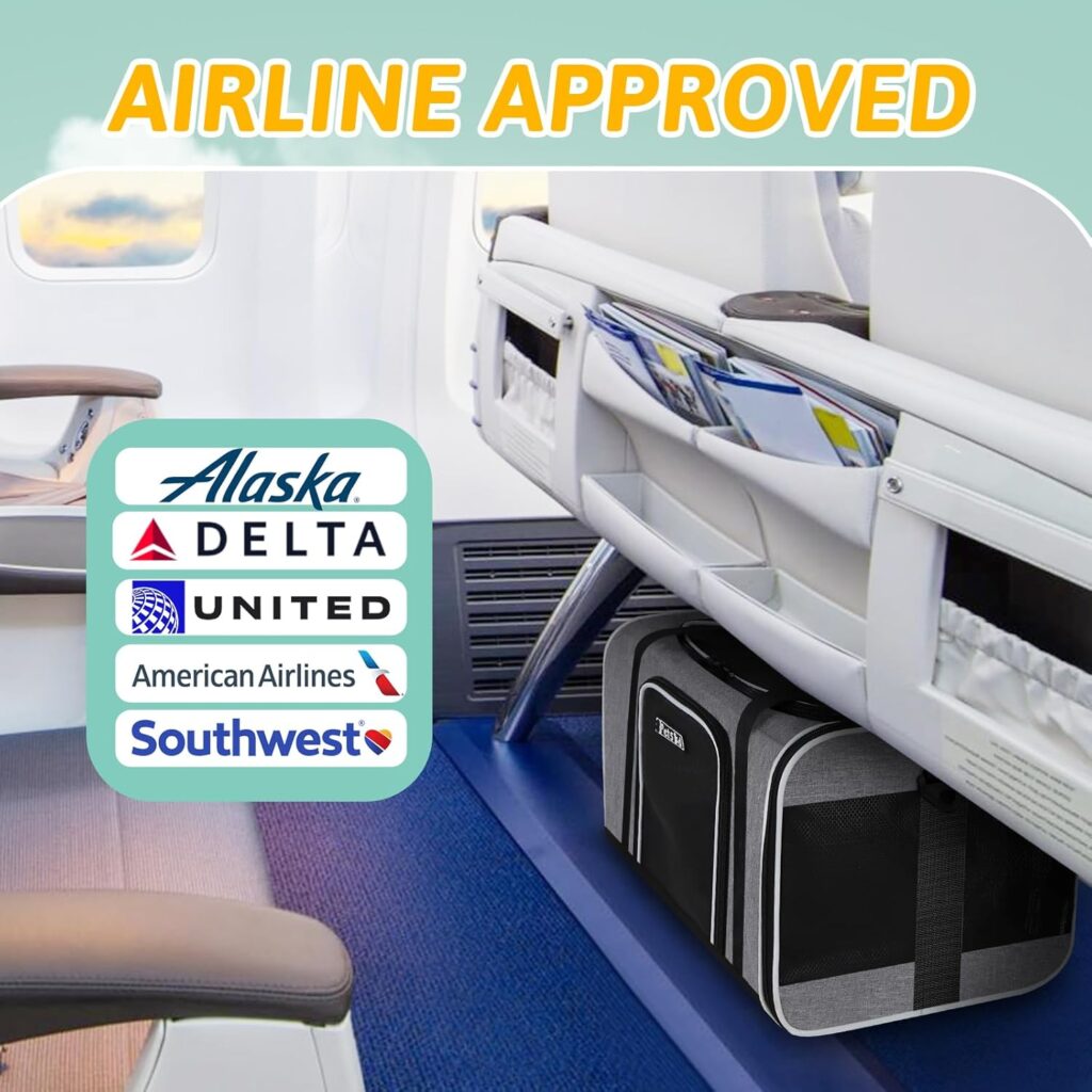 Petskd pet travel carrier bag review