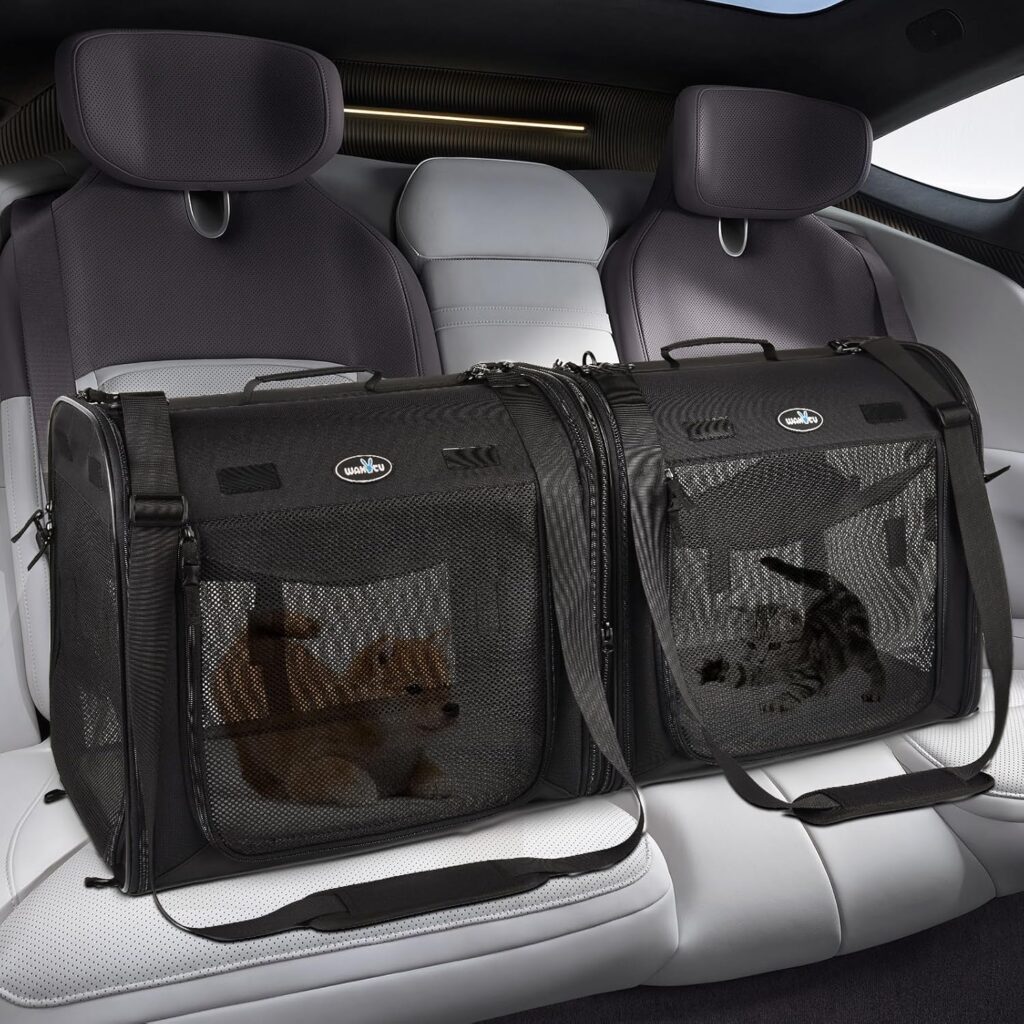 Portable 2-in-1 pet carrier for medium dogs review