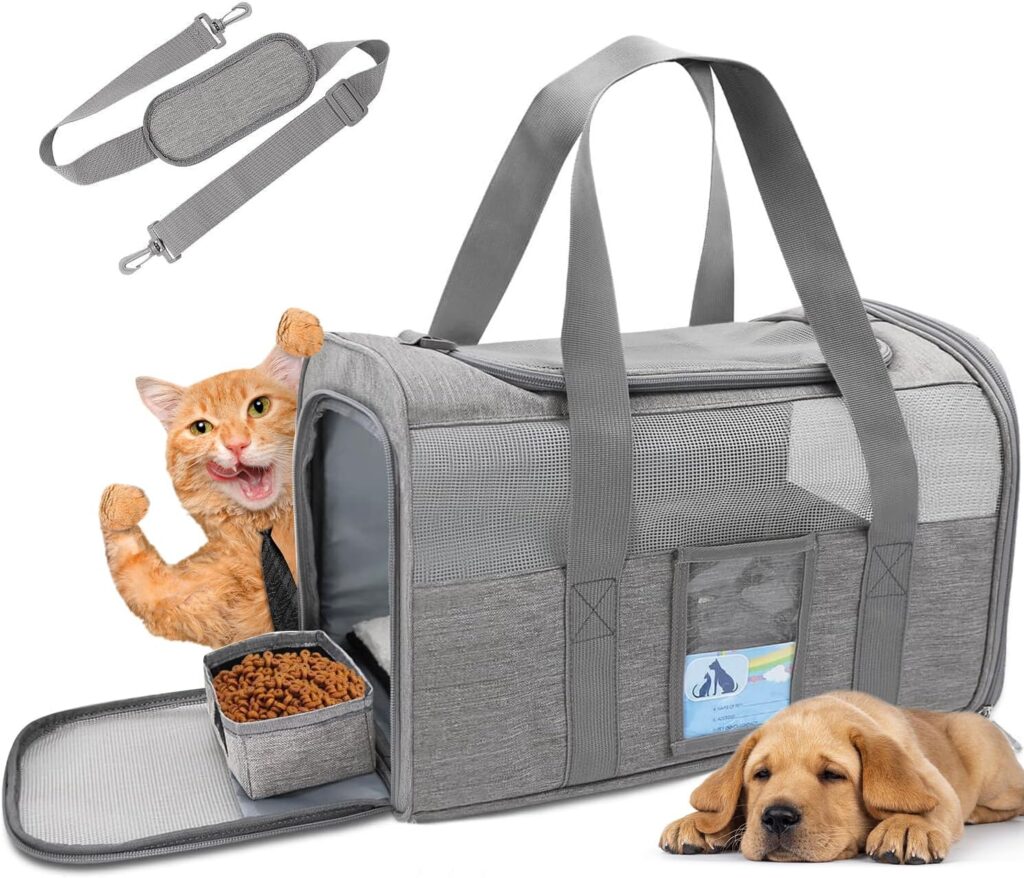 Refrze cat carrier review