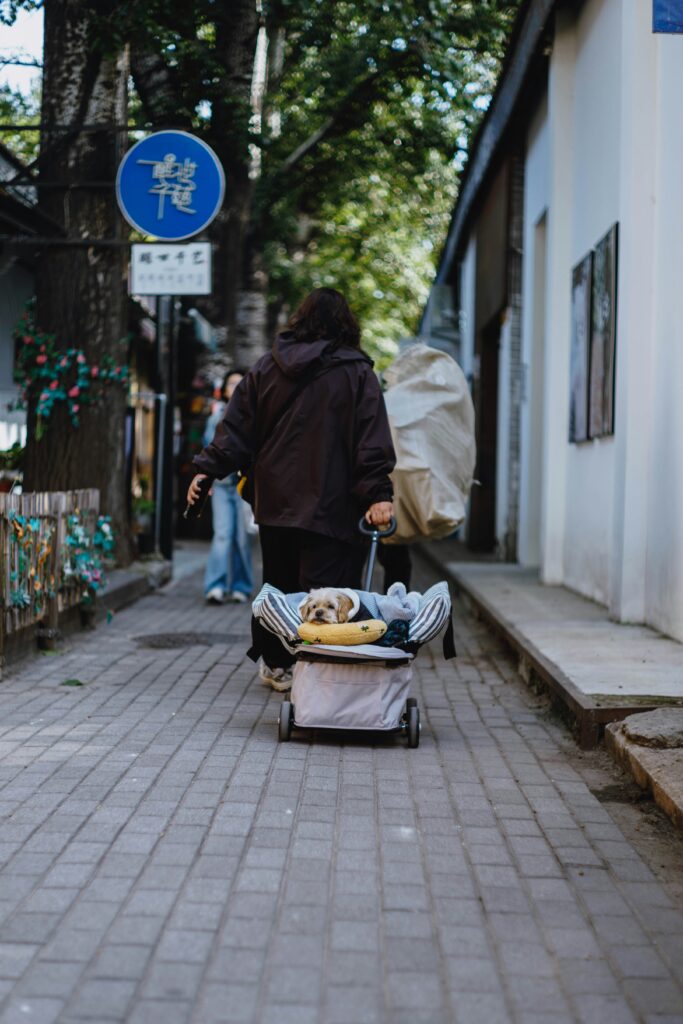 Sherpa deluxe airline approved pet carrier black large