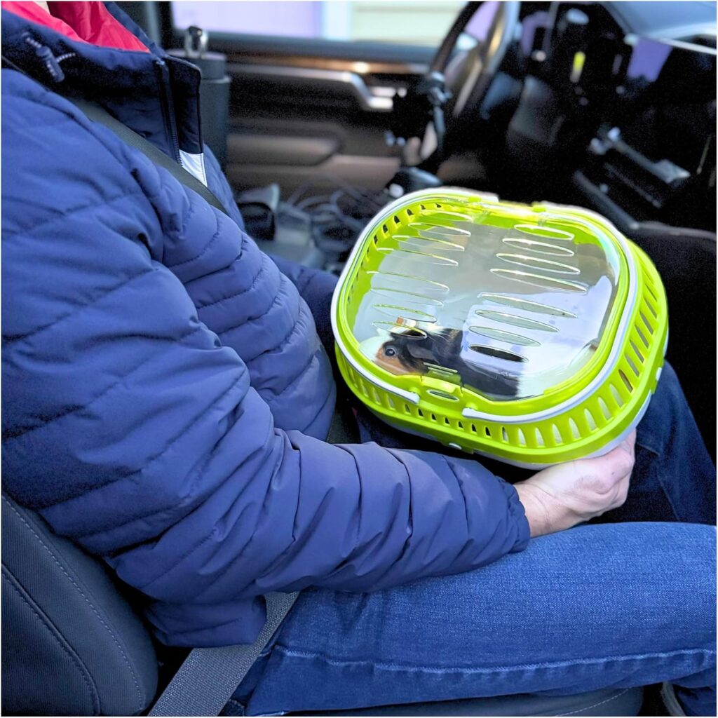 Trixie pico transport crate review