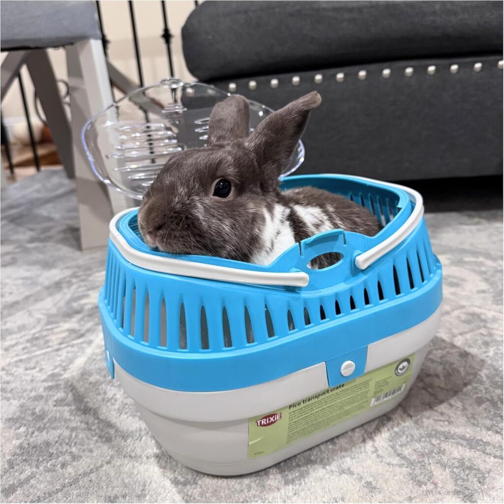 Trixie pico transport crate review