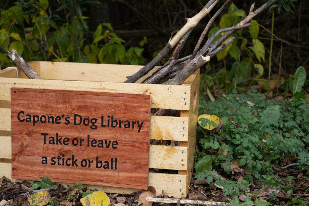 Amazon Basics Folding Portable Soft Pet Dog Crate Carrier Kennel, 26 x 18 x 18 inches, Blue Amazon basics folding portable soft pet dog crate