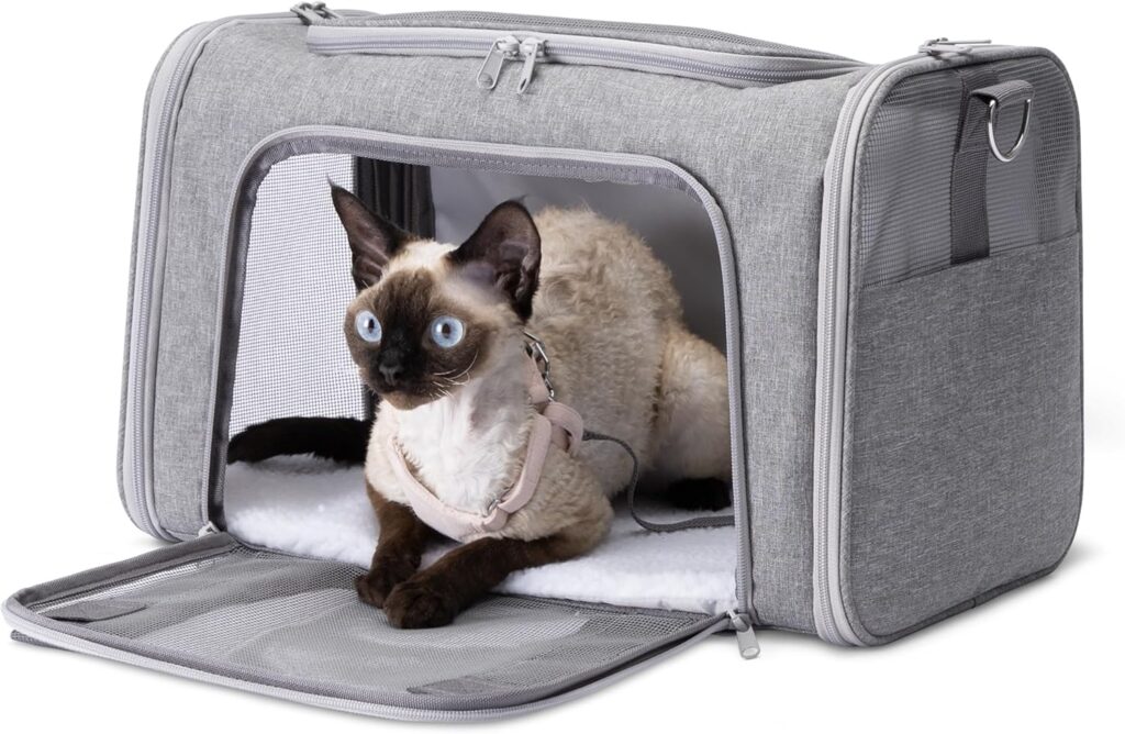 Amazon Basics Soft Cat Dog Carrier with Adjustable Shoulder Strap, Airline-Approved, Foldable and Portable Design, Mesh Ventilation, Folds Flat for Storage Amazon basics soft cat & dog carrier review