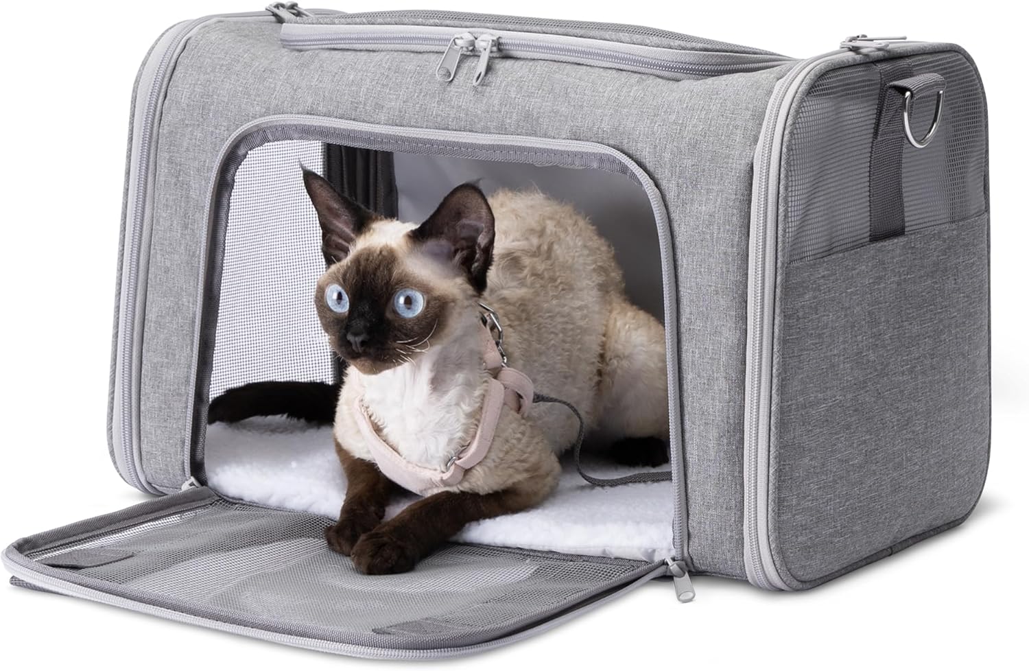 Amazon Basics Soft Cat & Dog Carrier review