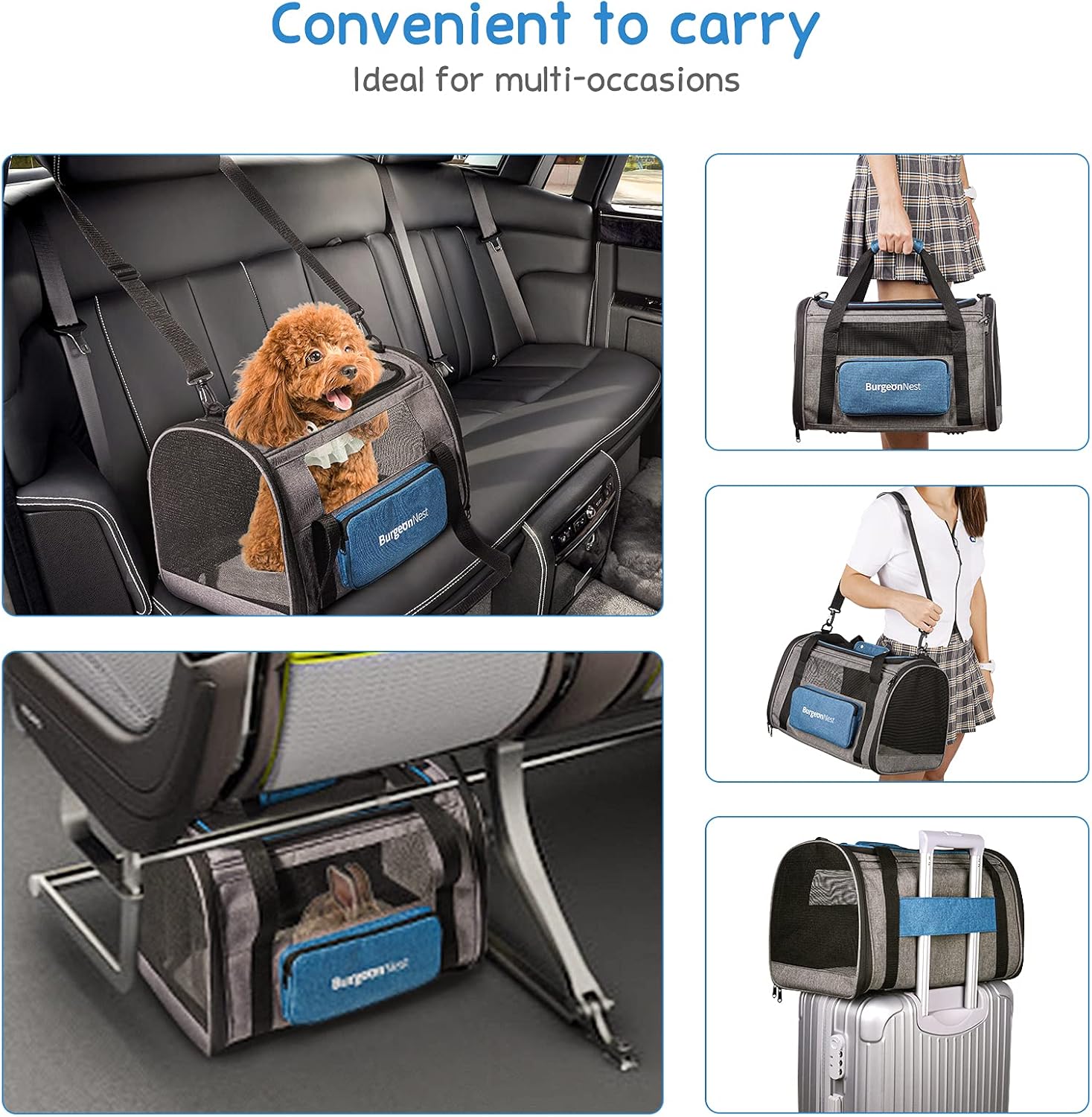 BurgeonNest Airline Approved Dog Carrier review