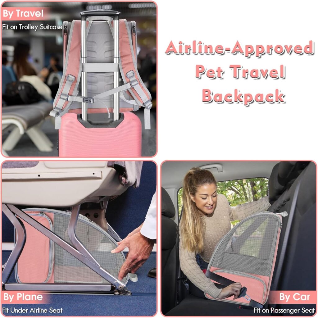 Large pet backpack review
