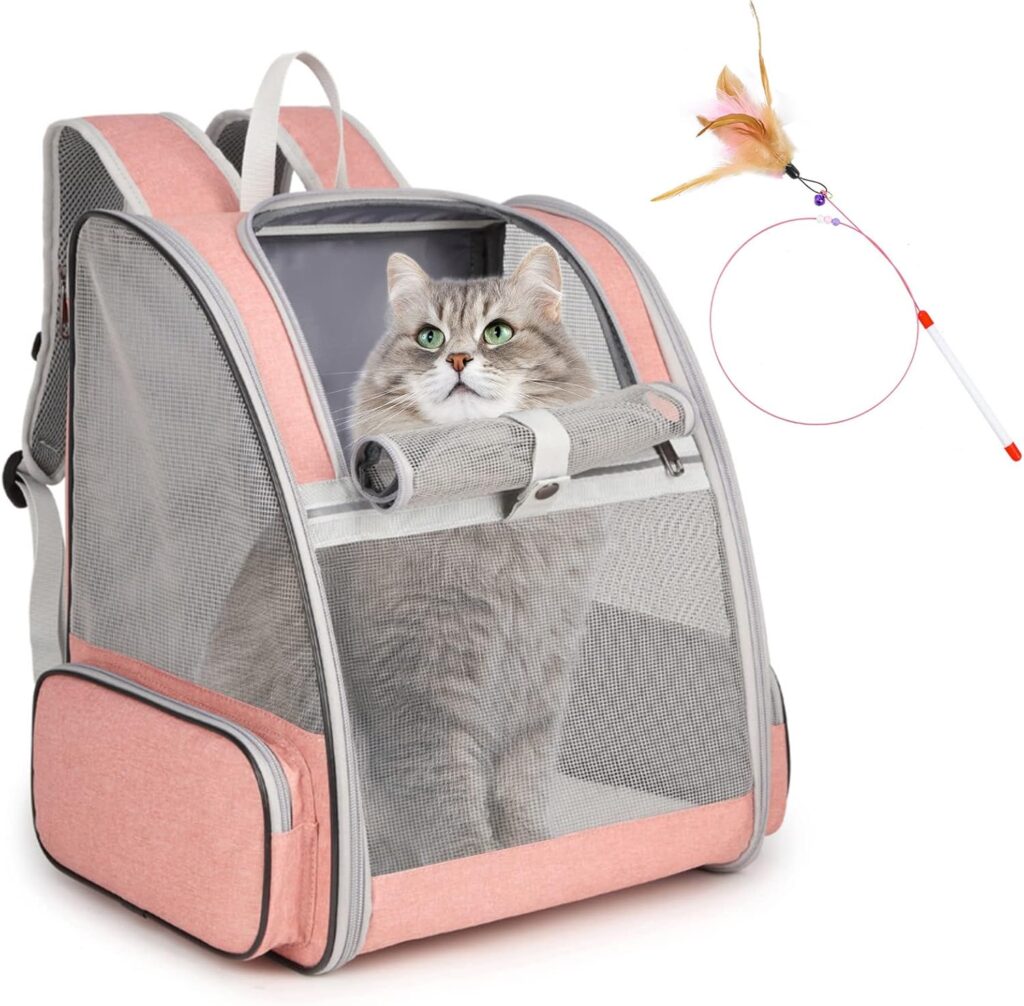 Large pet backpack review