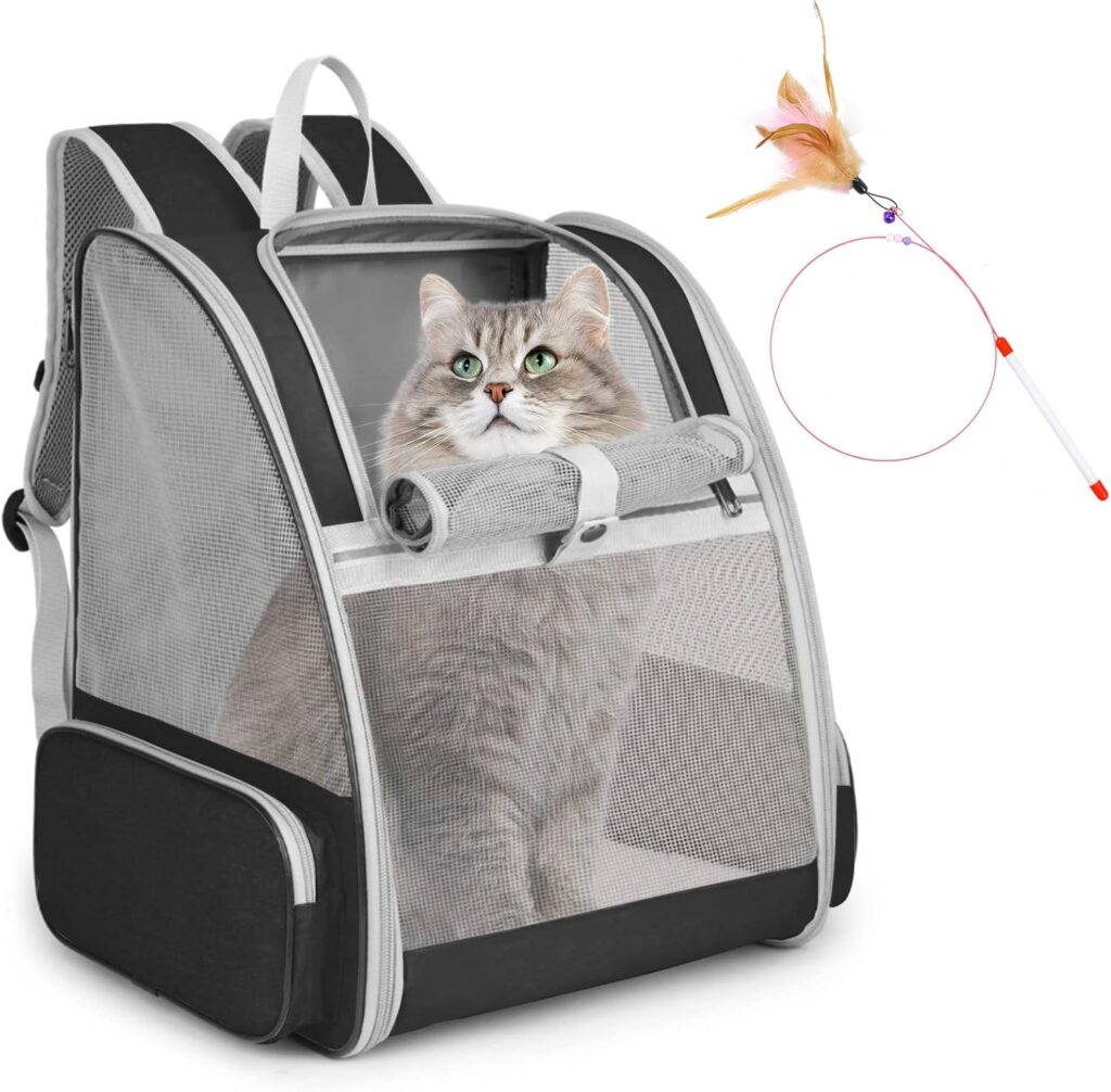 Large pet backpack review