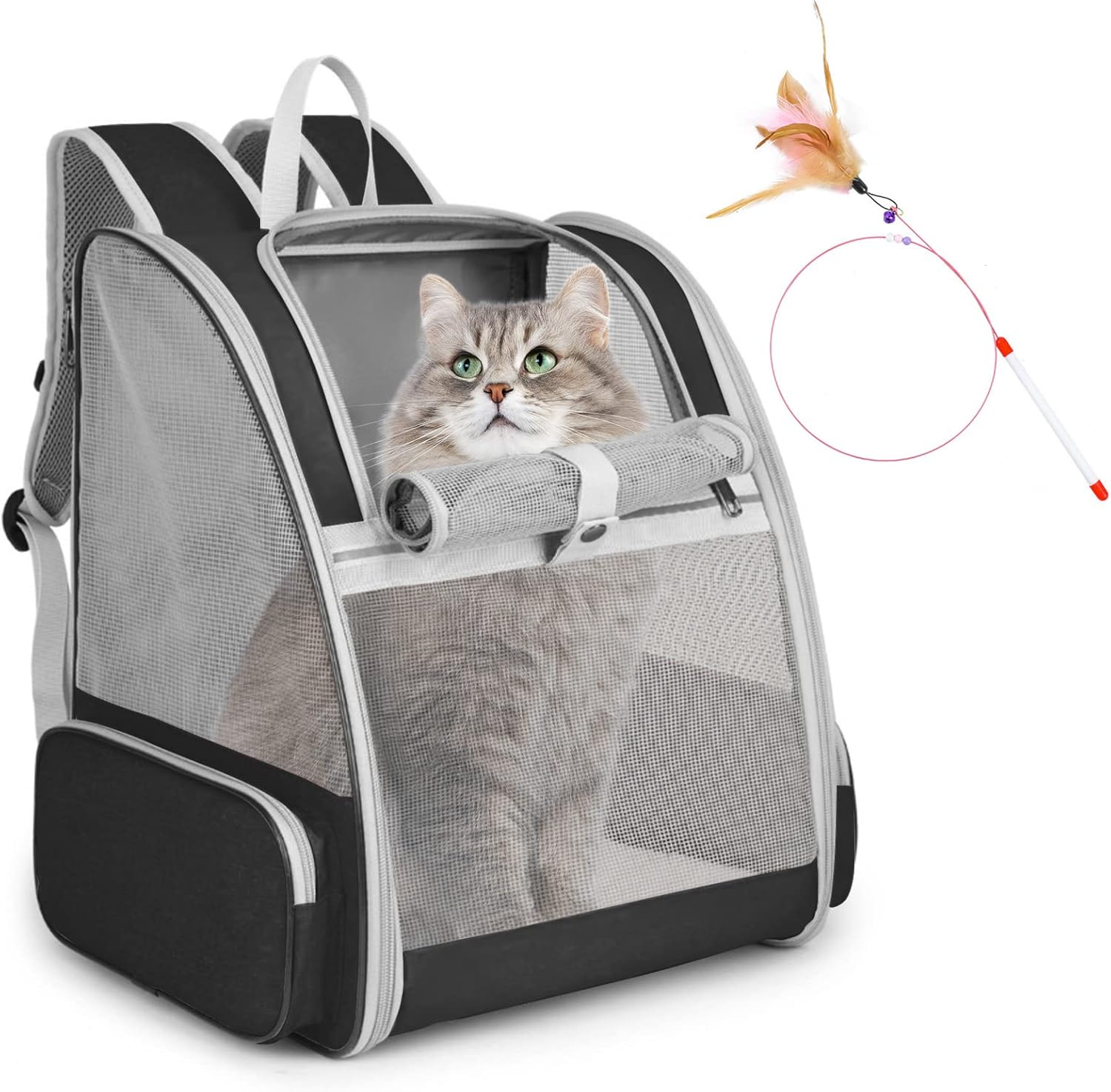 Large Pet Backpack review