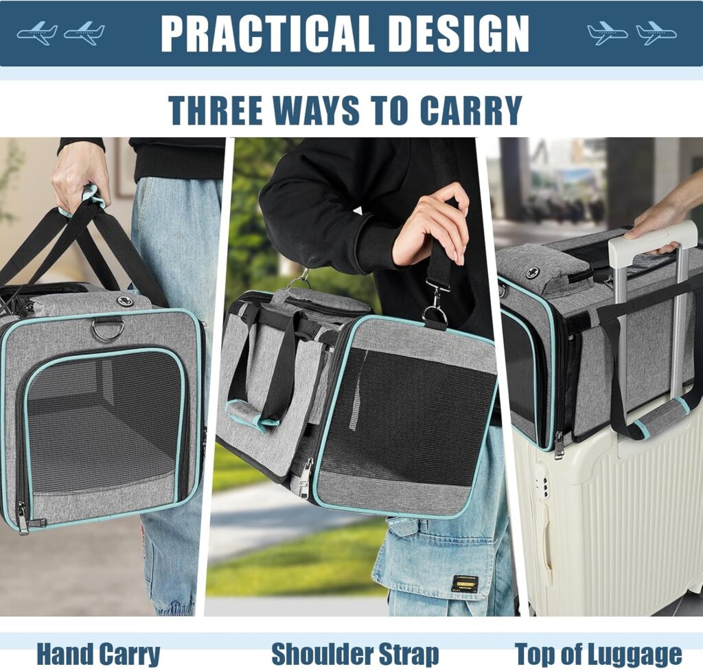 Cat carrier alaska airline tsa approved review