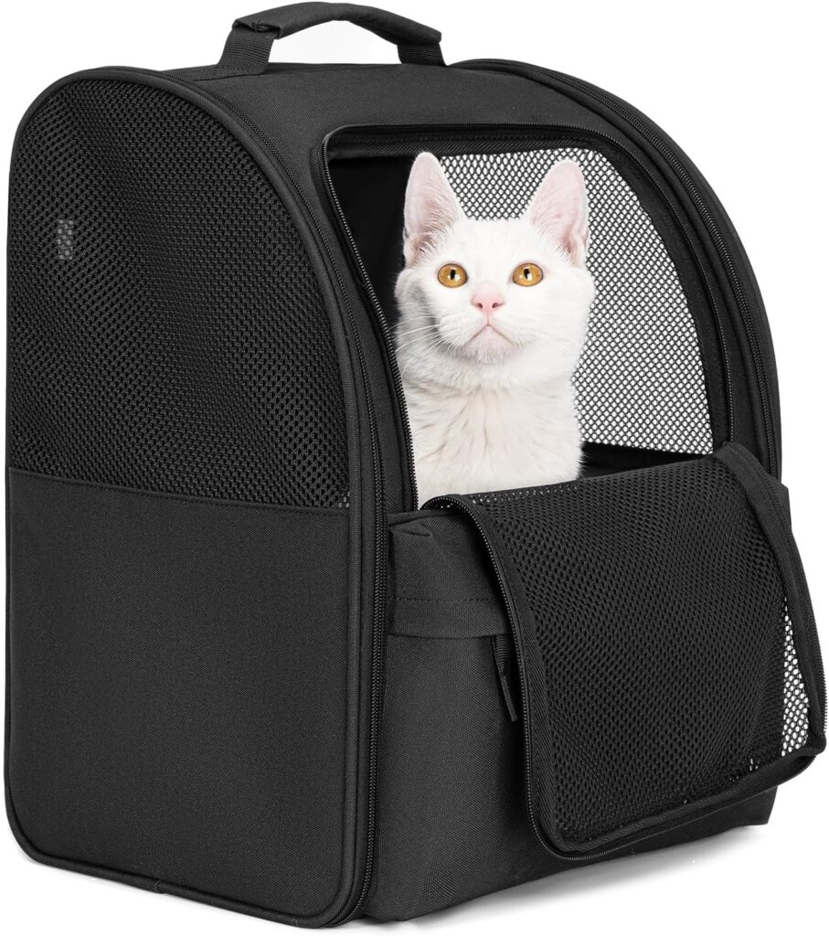 Cat carrier backpack review