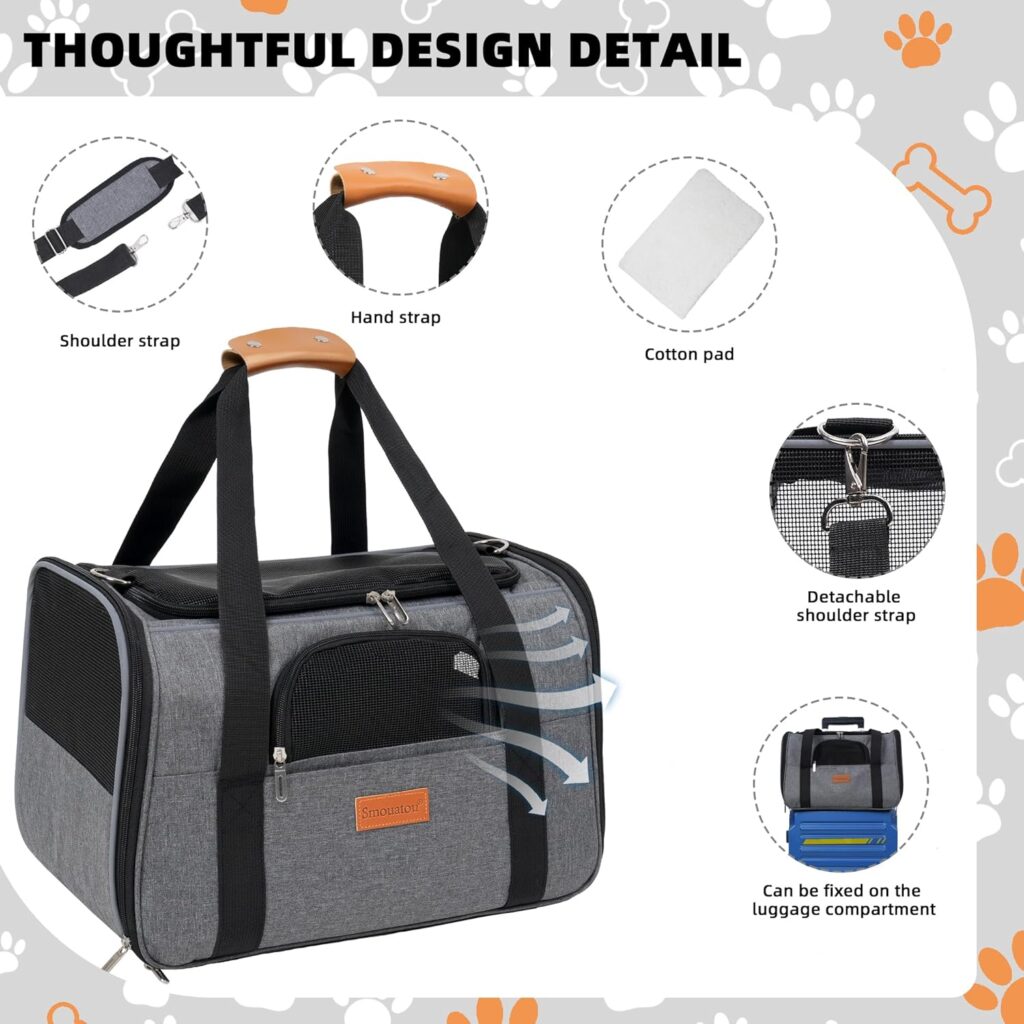 Dog carrier review guide illustration