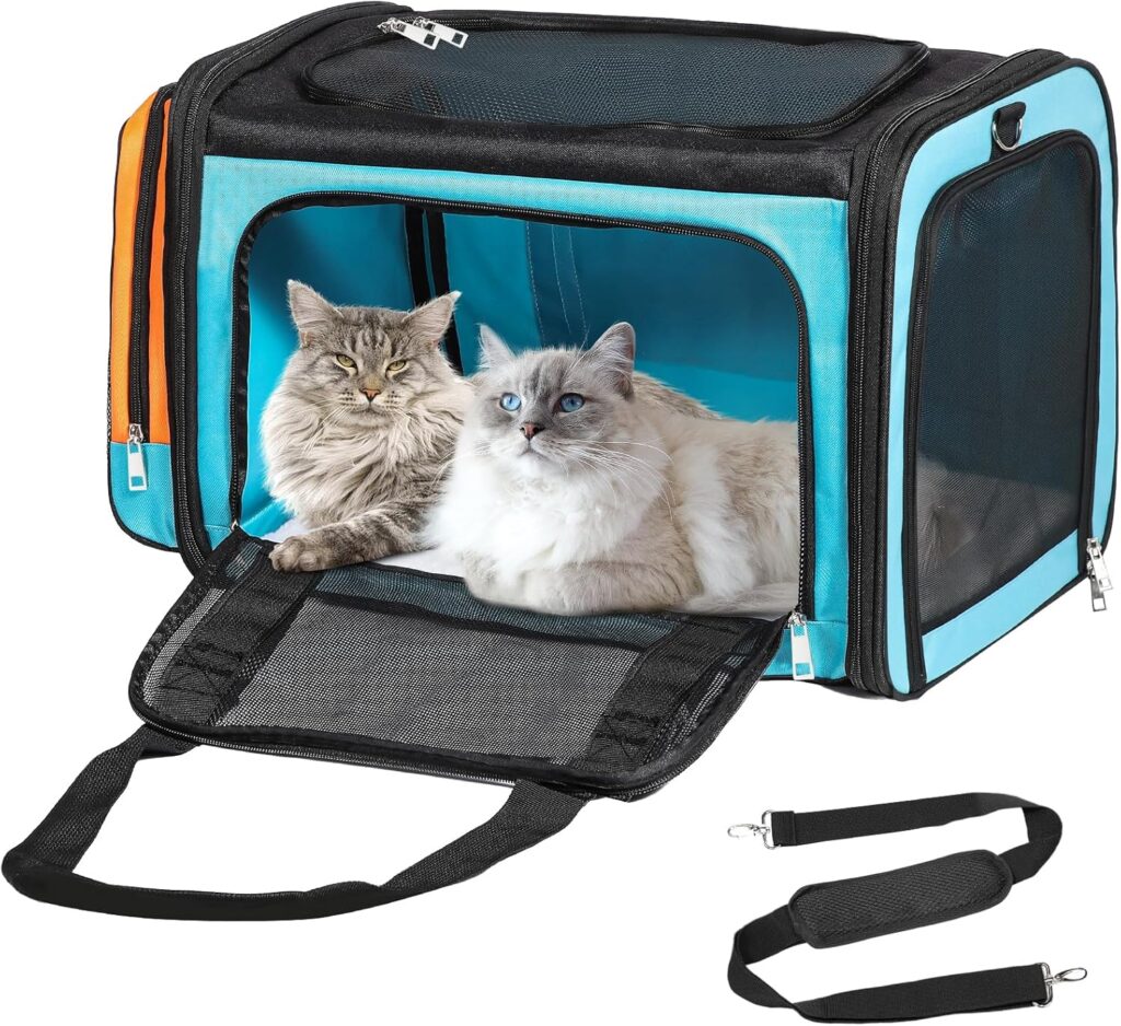 Discala large cat carrier review
