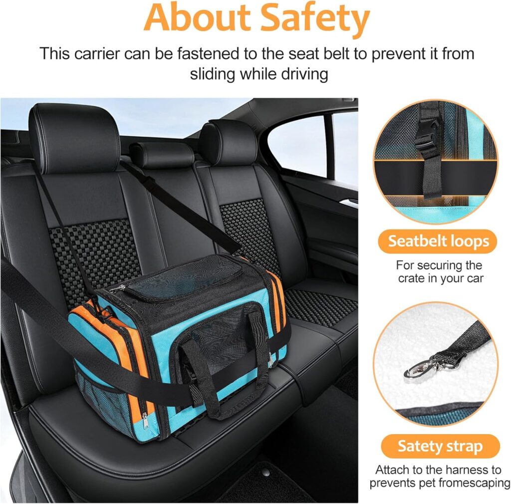 Discala large cat carrier review