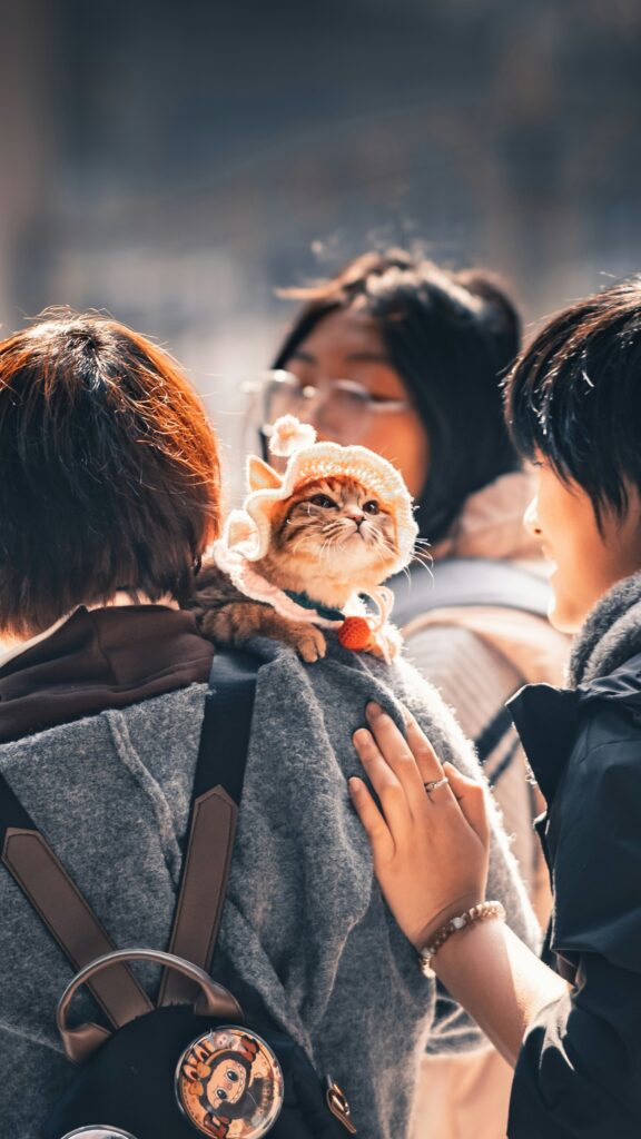 HUANLANG Soft-Sided Cat Carrier Airline Approved,Dog Carriers for Small Dogs Medium Cats,Pet Travel Carrier Up to 20 Lbs,Collapsible Cat Bag Huanlang soft-sided cat carrier review