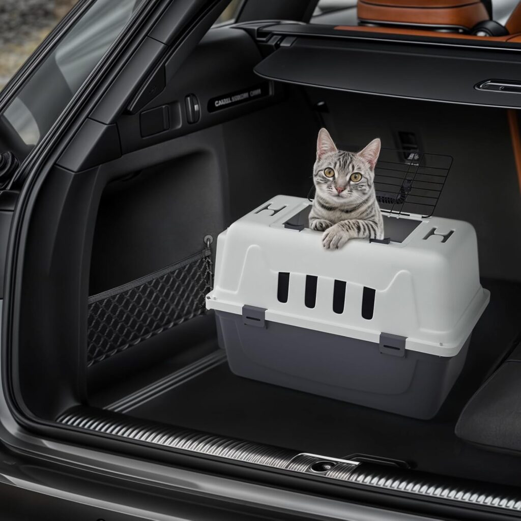 Magshion 18 inch pet carrier review