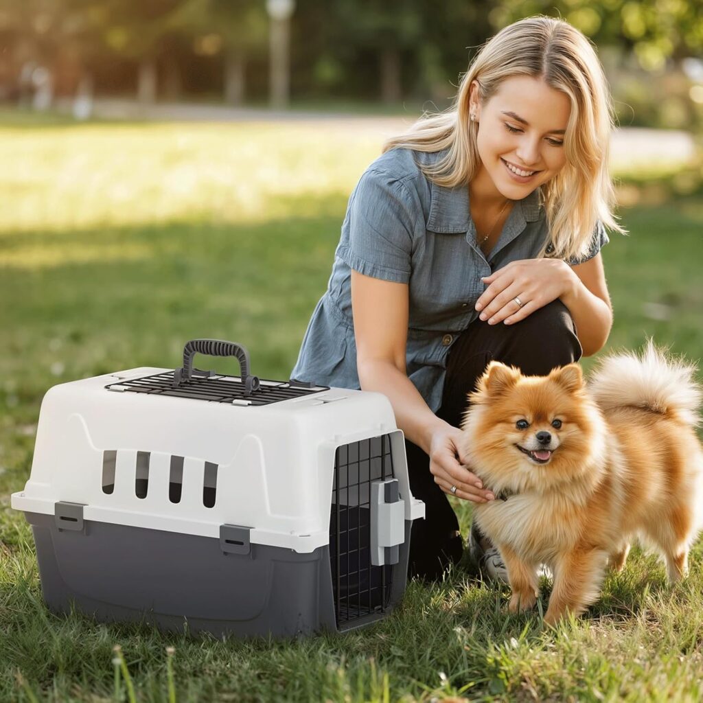 Magshion 18 inch pet carrier review