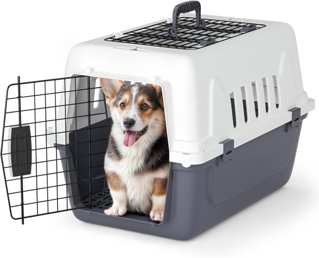 Magshion 18 inch pet carrier review