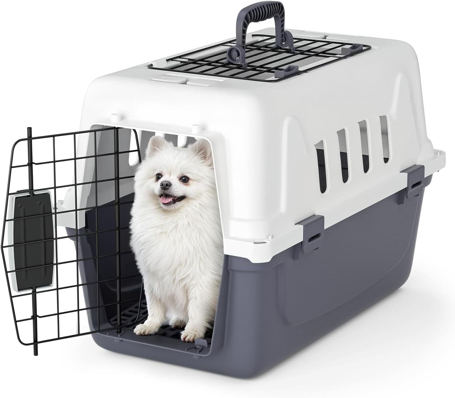 Magshion 18 Inch Pet Carrier review