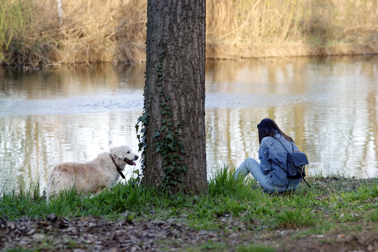 Pecute Expandable Pet Backpack review