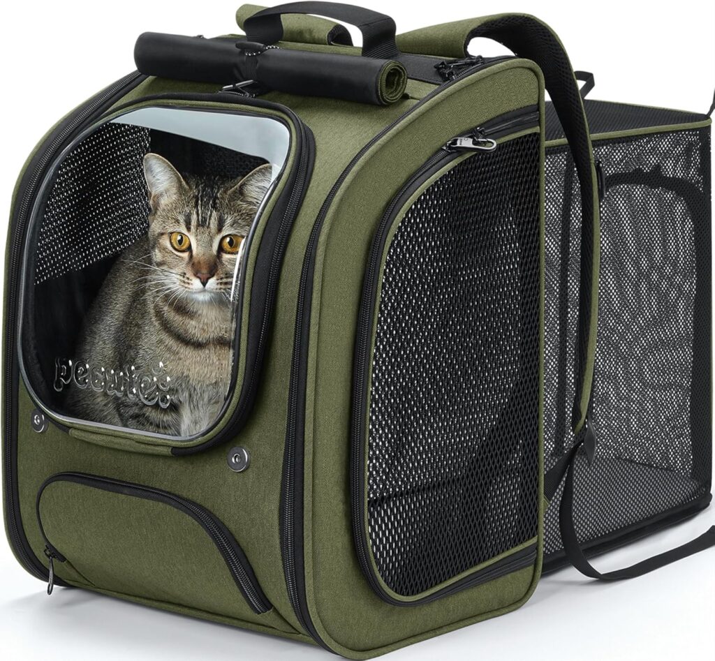 Pecute cat backpack carrier review
