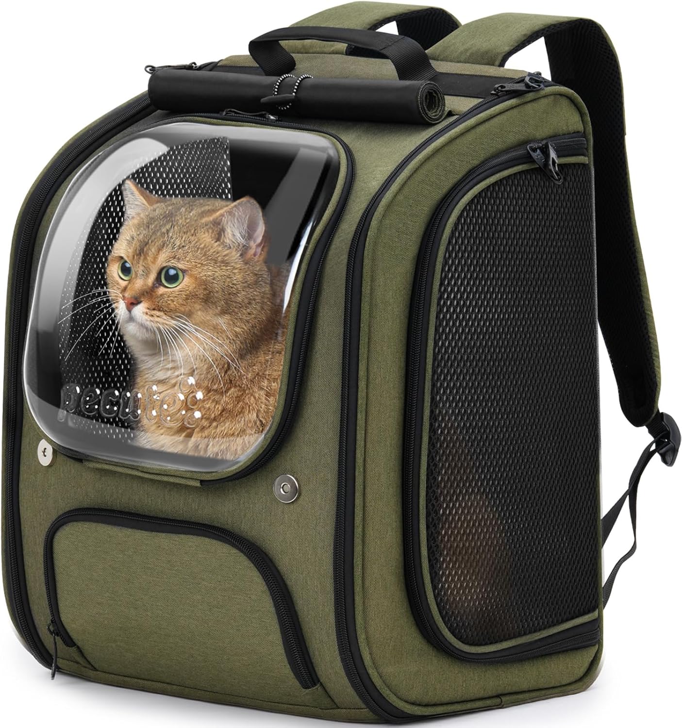 Pecute Cat Backpack Carrier Review