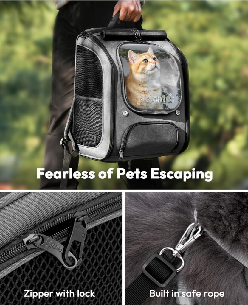 Pecute cat backpack carrier review