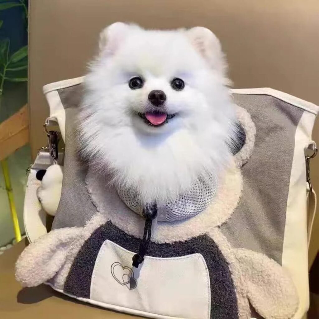 Pet carrier sling for small dogs and cats