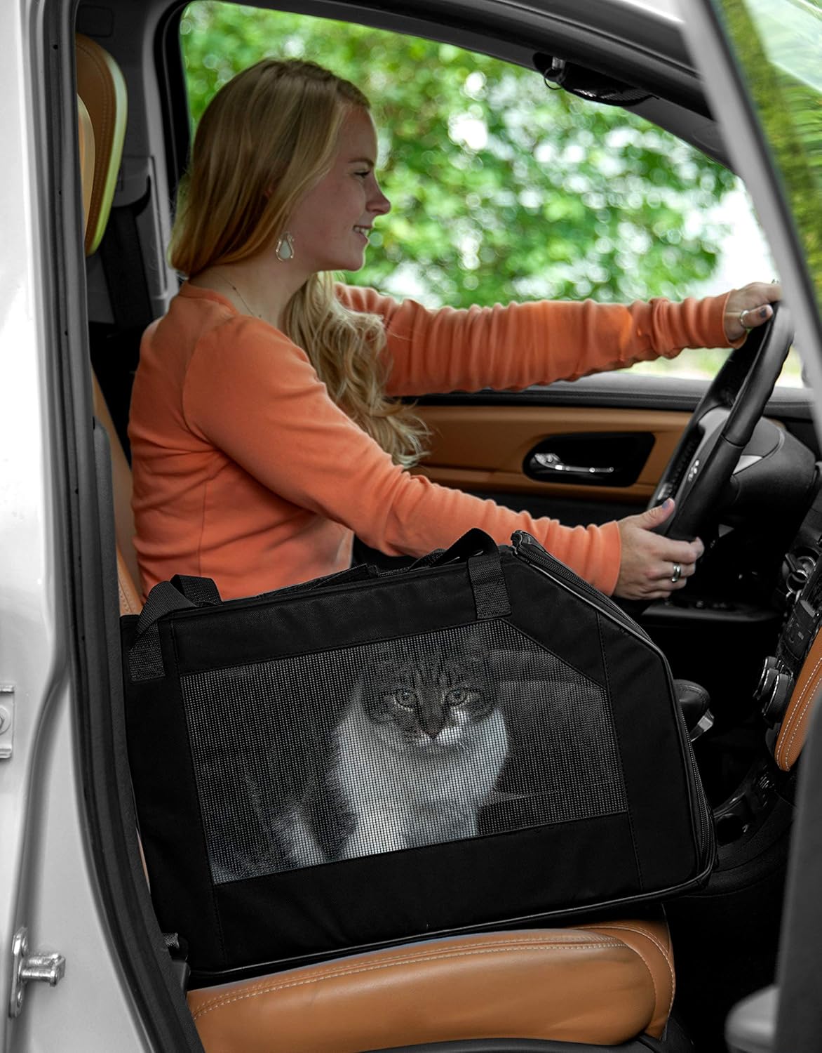 Pet Gear Signature Carrier & Car Seat review