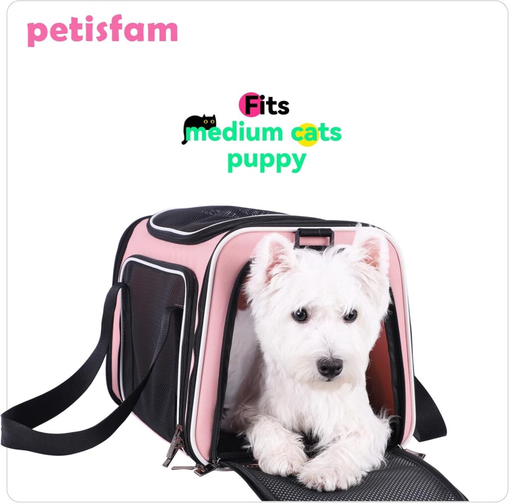 Petisfam soft pet carrier review