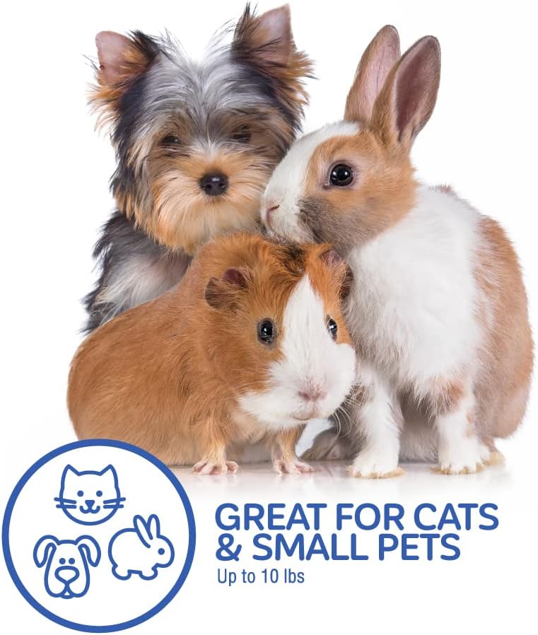 Petmate top load cat kennel 19\" review