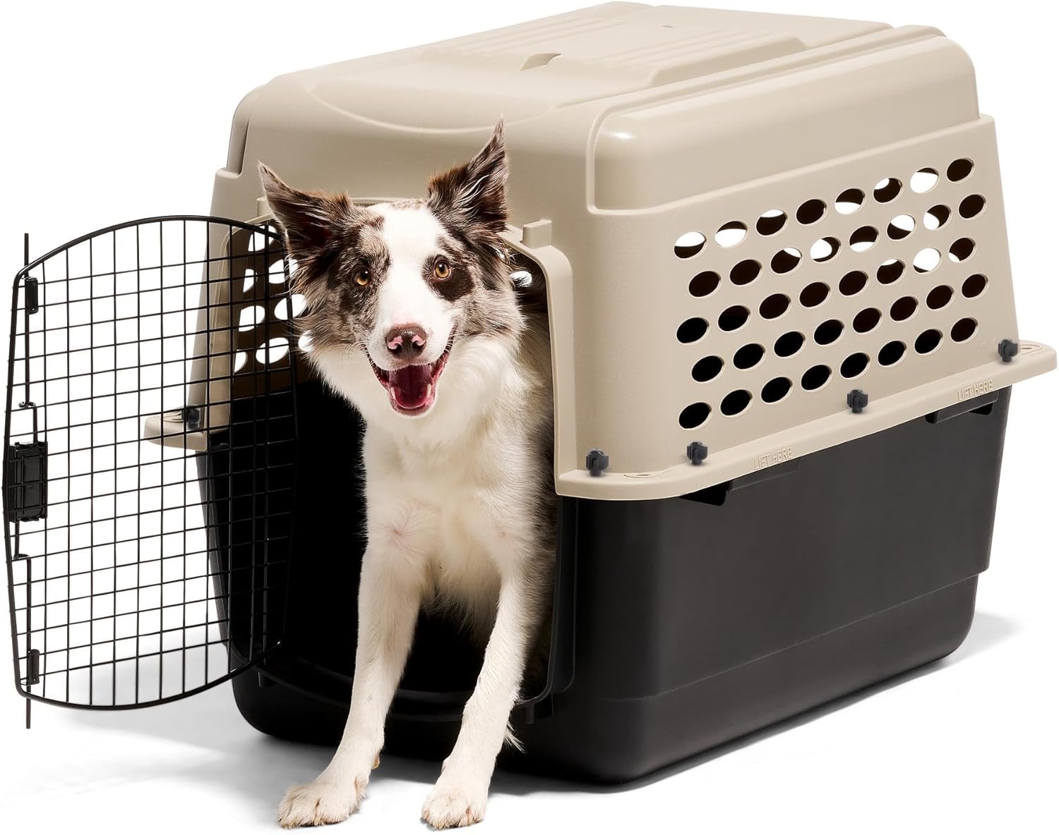 Petmate Vari Dog Kennel review