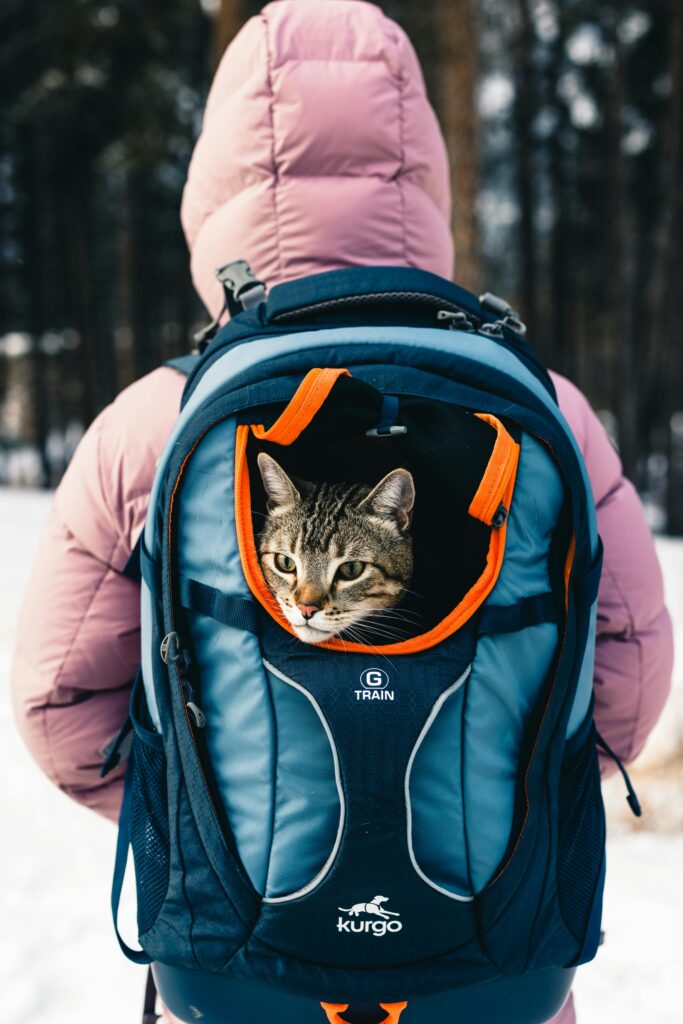 Petskd extra large cat carrier review