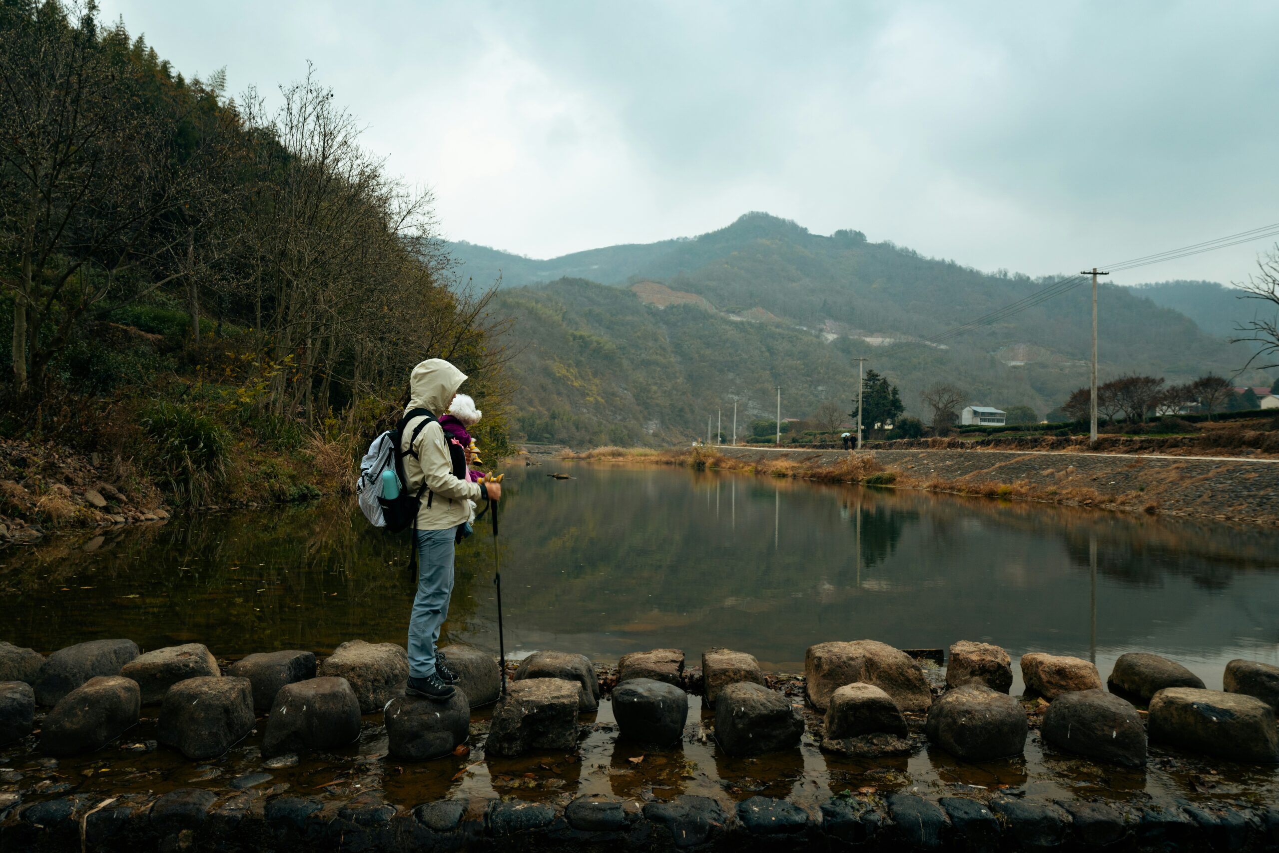Sherpa Original Deluxe Travel Pet Carrier (Black Medium) review