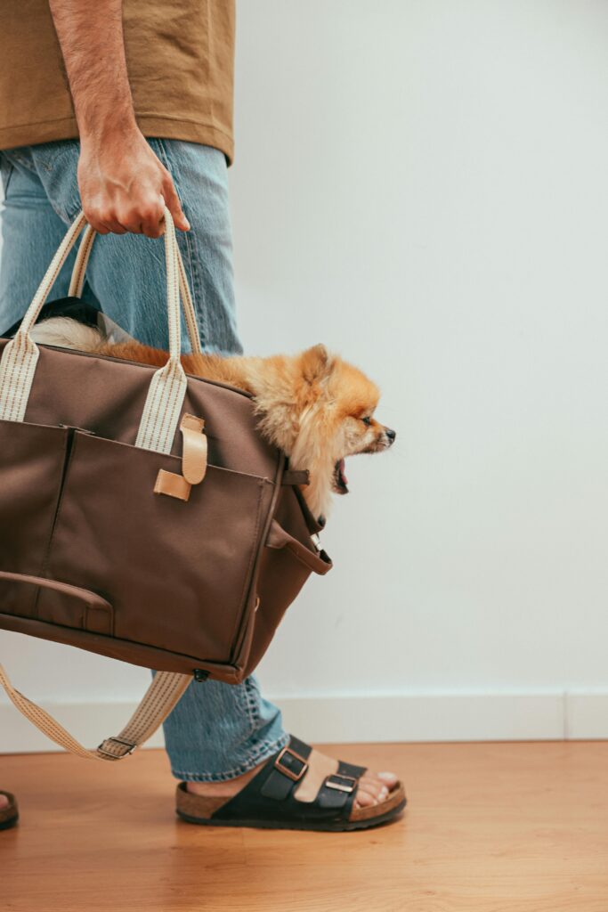 Soft Sided Cat/Dog Carrier,Collapsible Mesh Pets Travel Carriers for Pet/Puppy with Shoulder Strap Removable Mat,Top Load Small Dogs/Cats Carry Bag Up to 25 Lbs(Black - L) Soft Sided Cat/Dog Carrier,Collapsible Mesh Pets Travel Carriers for Pet/Puppy with Shoulder Strap Removable Mat,Top Load Small Dogs/Cats Carry Bag Up to 25 Lbs(Black - L)