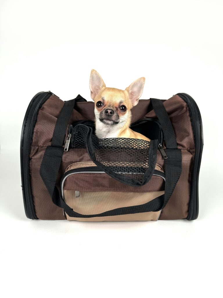 Soft Sided Cat/Dog Carrier (Black – L) review
