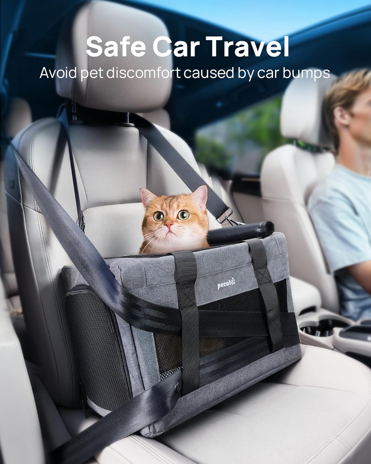 Airline Approved Cat Carrier Review