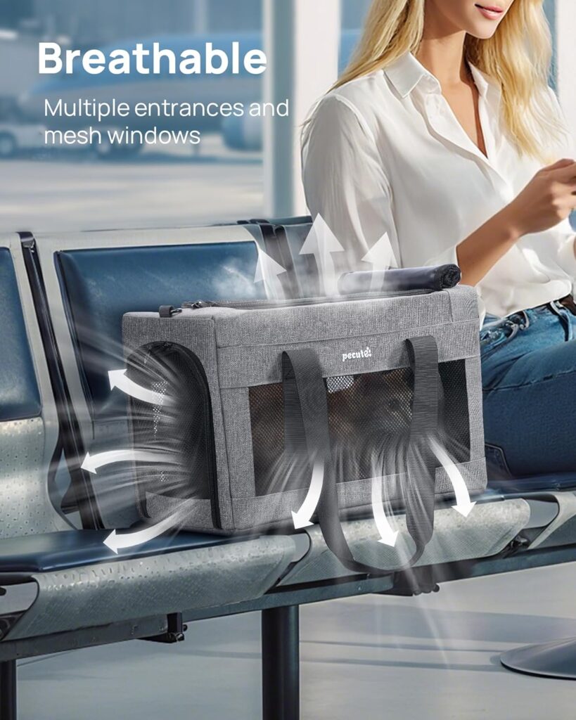 Airline Approved Cat Carrier, Pet Carrier Soft-Sided, Portable Dog Carrier with Stable Structure, TSA Approved Pet Carrier for Pets Less Than 12lbs, Cat Carrier Bag Suitable for Travel, Gray Airline approved cat carrier review