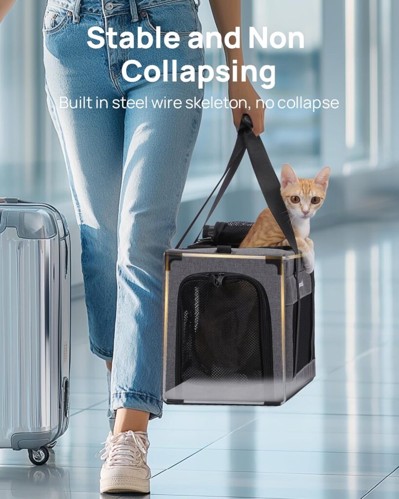Airline Approved Cat Carrier, Pet Carrier Soft-Sided, Portable Dog Carrier with Stable Structure, TSA Approved Pet Carrier for Pets Less Than 12lbs, Cat Carrier Bag Suitable for Travel, Gray Airline approved cat carrier review