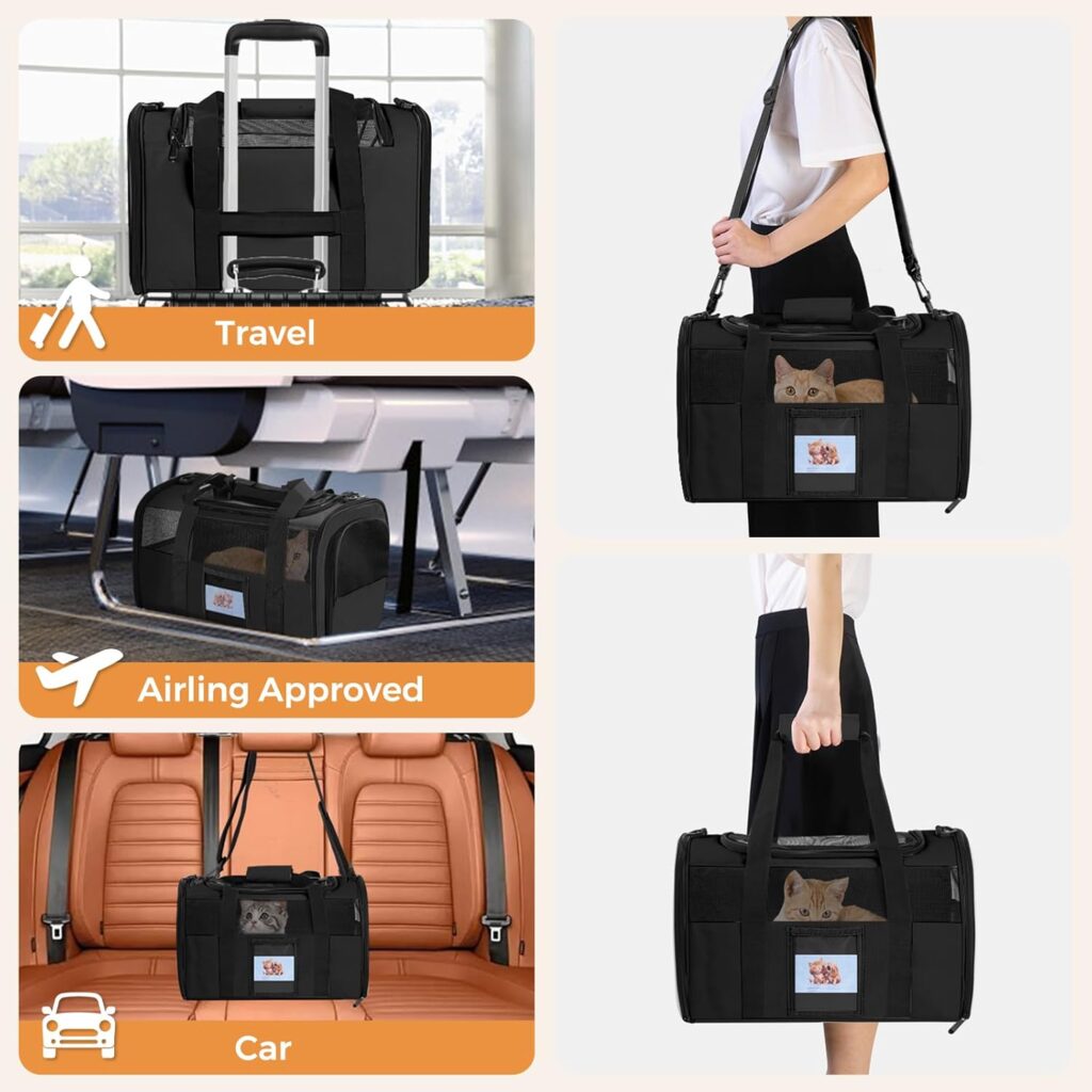 Cat carrier soft for pets review
