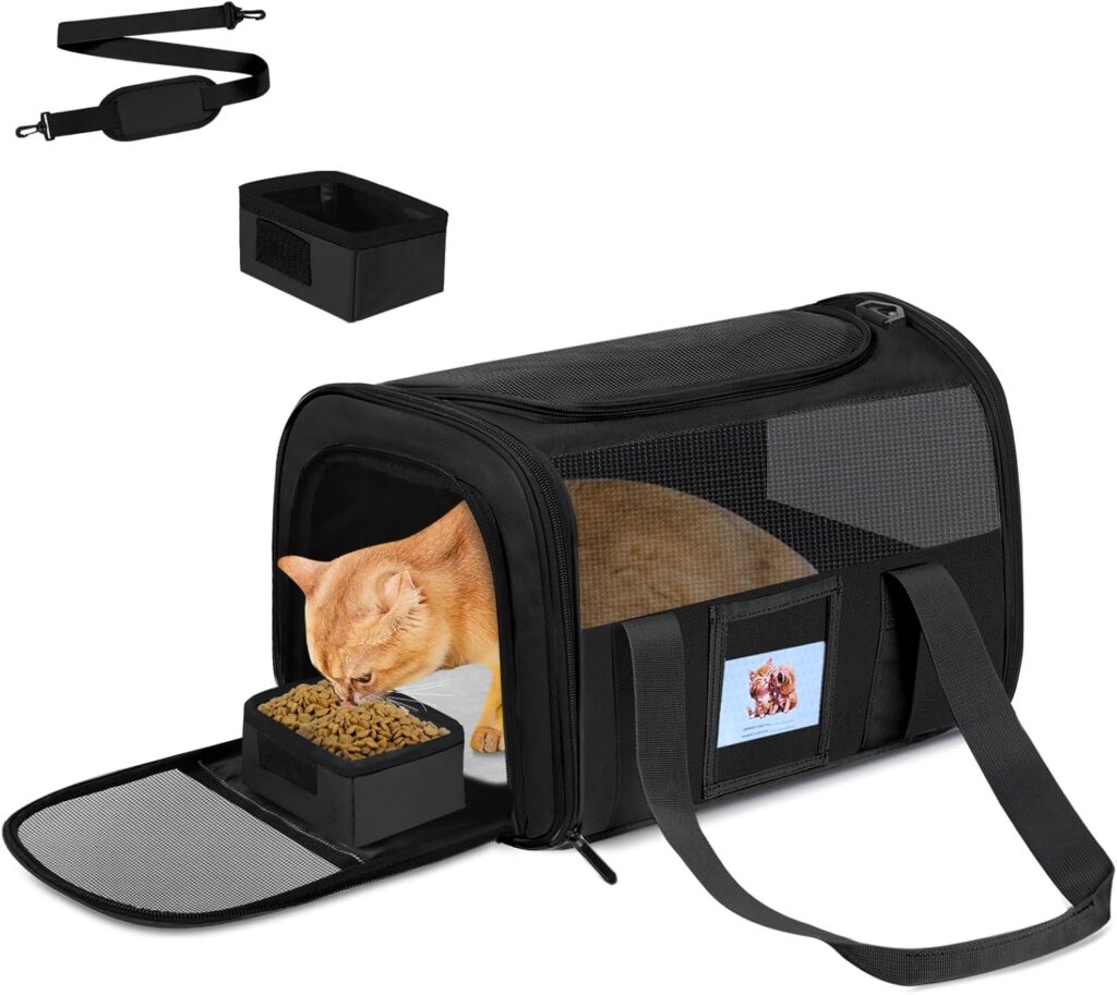 Cat carrier soft for pets review